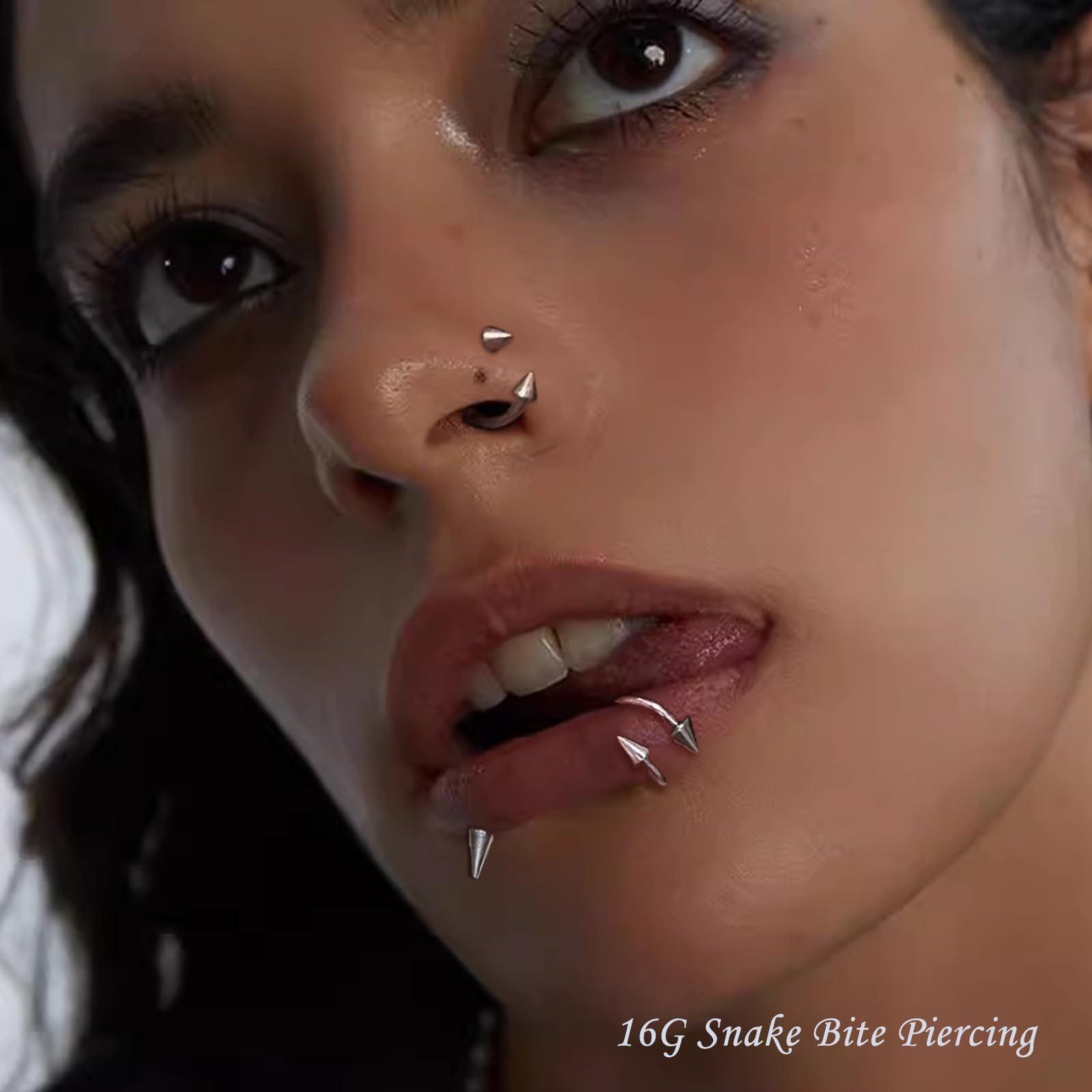 34pcs/Set 16G Змея Укус Пирсин – обзор и цена Body Jewelry Vertical Labret